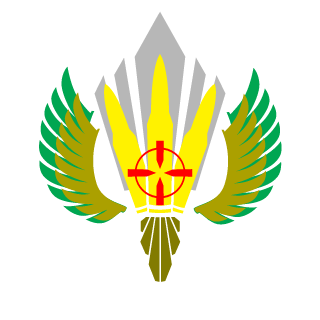 Rafa25879's emblem
