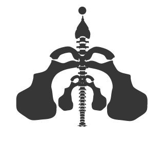 xXxSOBxXx's emblem