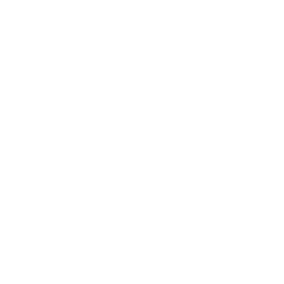 Zinzar5's emblem