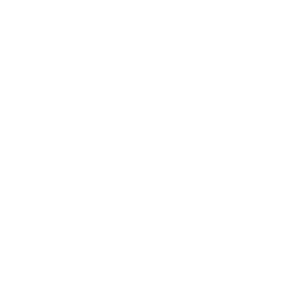 DiPocSoft's emblem