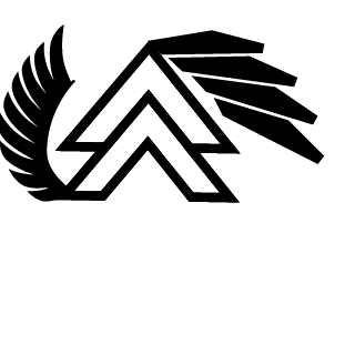 nohamt2t's emblem