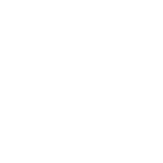 plahstic's emblem