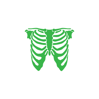 ficel666's emblem