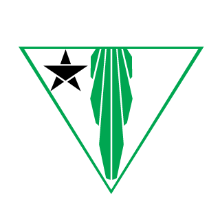 rainb0wsquid's emblem