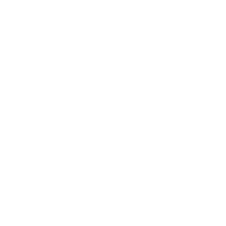 Brakbr's emblem