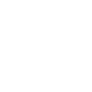 Altervision98's emblem