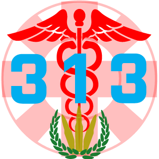 Jasiek313's emblem