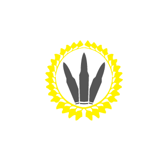 pikokiller1's emblem