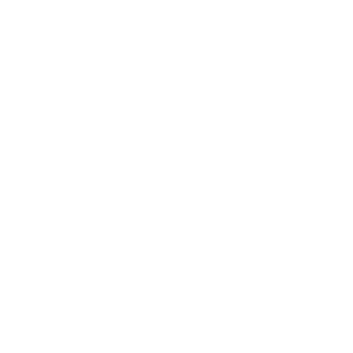 maxslash5's emblem