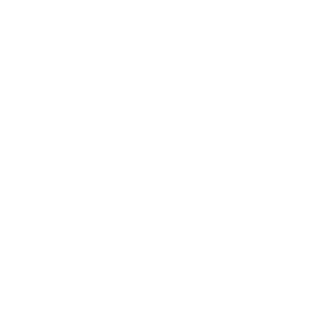 pytis12's emblem