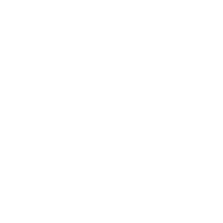 13Nikus13's emblem