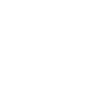 NTASDv2's emblem