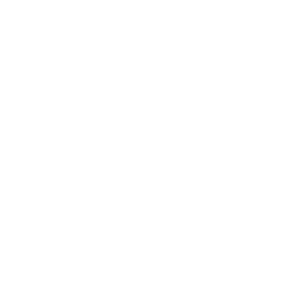 bericks's emblem