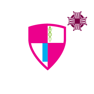 N4a6's emblem