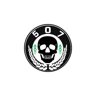 Hectorq9826's emblem