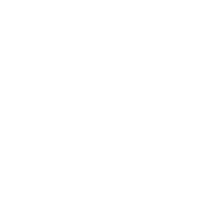 Sergut_Fast's emblem