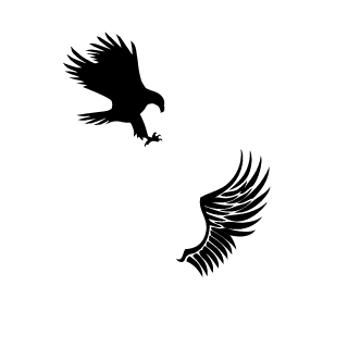 0sty99's emblem