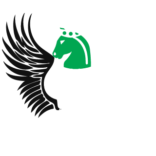DikDiikk's emblem