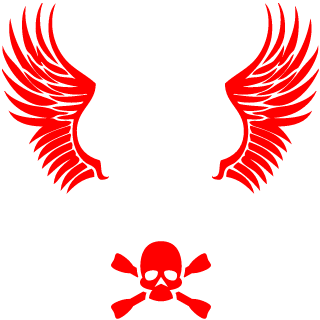 SkyPlane80's emblem