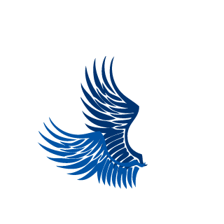 Swiftspirit76's emblem