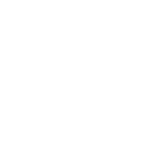 ziggie93's emblem