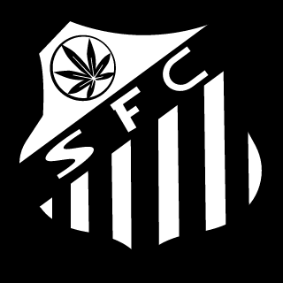 Star_Killer-BR's emblem