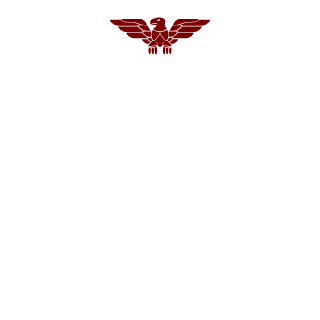 VisTer96's emblem
