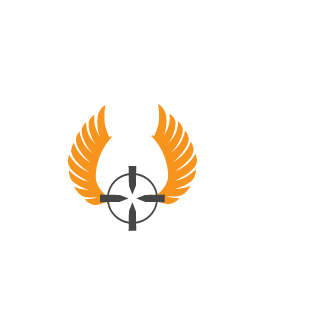 dtdt2020's emblem
