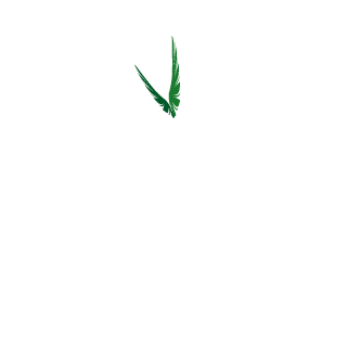 afroalbino13's emblem