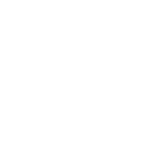 -Cn-Br-Roni's emblem