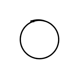 Ch1na_R1der's emblem