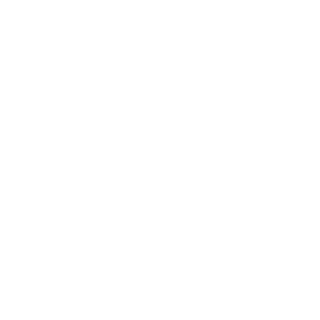 S4M1-AUTO's emblem