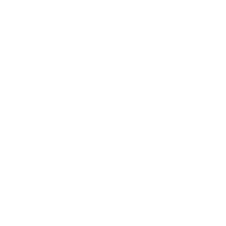 MAX-SPLENDID's emblem