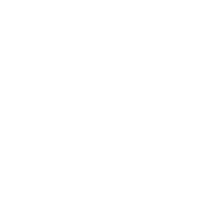 Flinkx's emblem