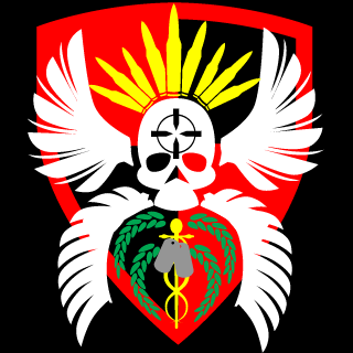 DG4FF's emblem