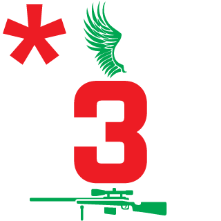 PSaintK's emblem