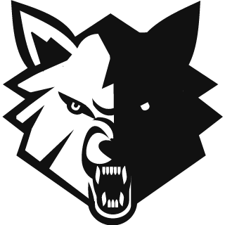 VAL93RUS's emblem