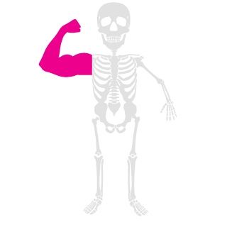Zapplor's emblem