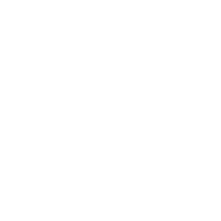 221bfc309f338239's emblem