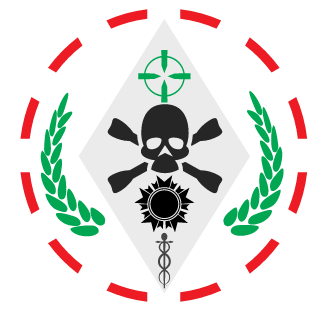 giofirestorm's emblem
