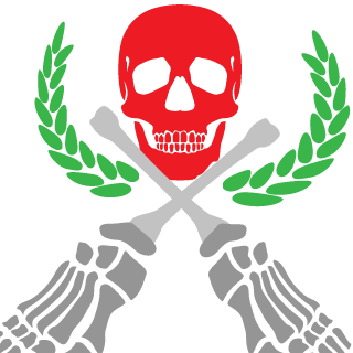 bullestormPL's emblem