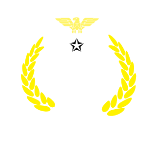 BrestVlad's emblem