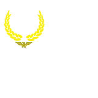anDr3sDil's emblem