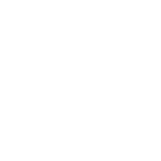 333carlos333's emblem