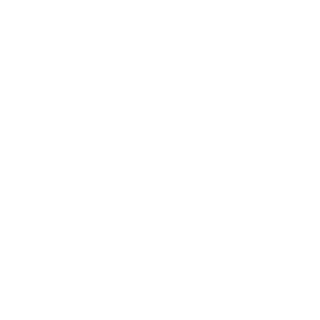 Vlsure's emblem
