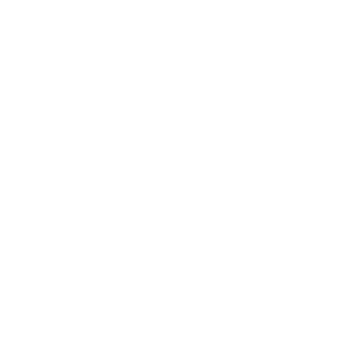eissid's emblem