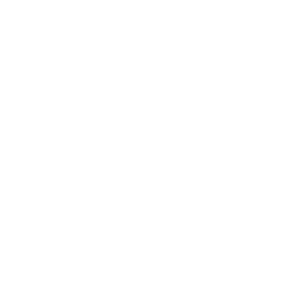 TORIBION84's emblem