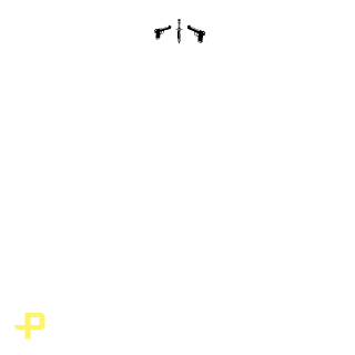 Paradoxo33's emblem