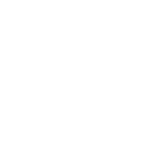 ins_fantasy's emblem