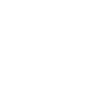BigusDickus03's emblem